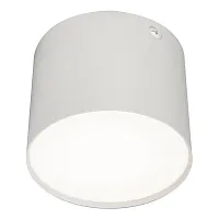 Светильник накладной LED 20004SMU/01LED SWH Escada белый 1 лампа, основание белое в стиле современный круглый