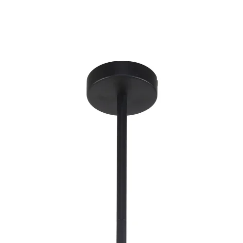Светильник подвесной Chart 3092-6P F-promo чёрный 6 ламп, основание чёрное в стиле современный  фото 3