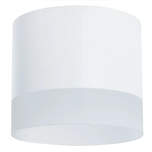 Светильник накладной Castor A5554PL-1WH Arte Lamp белый 1 лампа, основание белое в стиле современный круглый фото 2