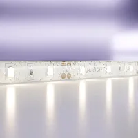 Светодиодная лента 12В 20005 Maytoni цвет LED нейтральный белый 4000K, световой поток Lm