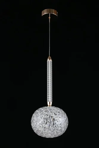 Светильник подвесной LED Dorote APL.036.16.11 Aployt прозрачный 1 лампа, основание золотое в стиле современный  фото 2