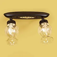 Светильник Метафора потолочный CL413121 Citilux прозрачный 2 лампы, основание коричневое в стиле кантри прованс 