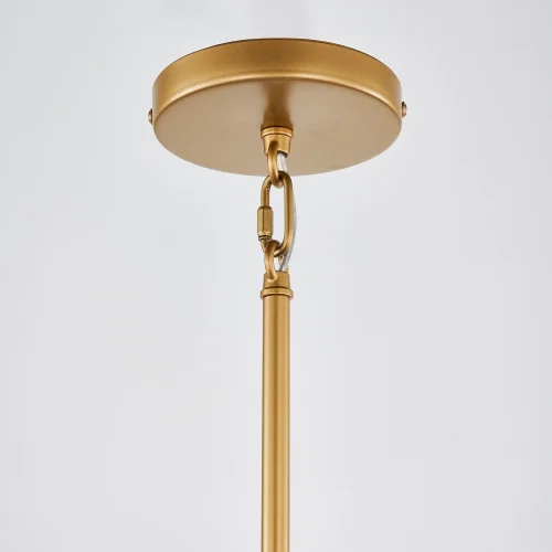 Светильник подвесной Radiales 3099-1P Favourite прозрачный 1 лампа, основание золотое в стиле классический  фото 4