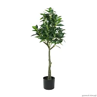 Искусственное растение в горшке Yubetsu 428022 Eglo, цвет - зеленый / черный, материал - пластик, купить с доставкой по Москве и России.