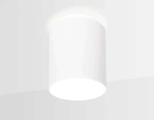 Светильник накладной LED TN260 Ambrella light белый 1 лампа, основание белое в стиле современный круглый фото 3