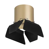 Светильник накладной Rullo GX53 R3490487 Lightstar чёрный золотой 1 лампа, основание золотое в стиле модерн хай-тек круглый