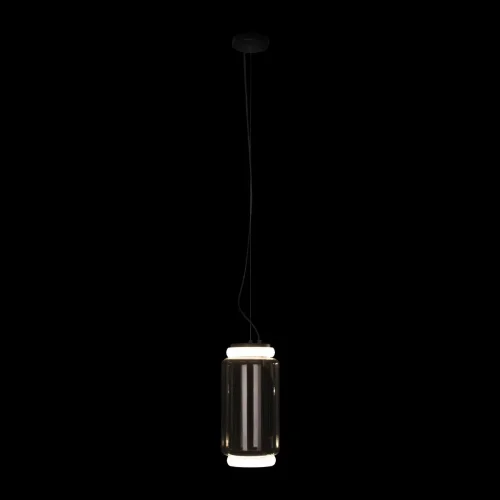 Светильник подвесной LED Noctambule 10194/S LOFT IT прозрачный 2 лампы, основание чёрное в стиле современный  фото 4