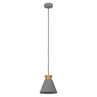 Светильник подвесной Twicken 43838 Eglo серый 1 лампа, основание серое в стиле кантри лофт 