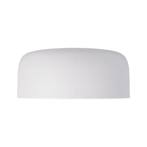 Светильник потолочный LED Axel 10201/350 White LOFT IT белый 1 лампа, основание белое в стиле современный  фото 5