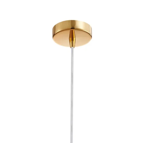 Светильник подвесной Funnel 2881-1P Favourite прозрачный 1 лампа, основание золотое в стиле современный  фото 2