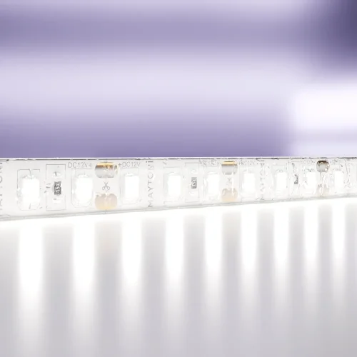 Светодиодная лента 12В 10113 Maytoni цвет LED холодный белый 6000K, световой поток 1000Lm