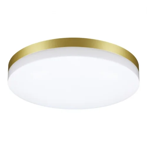 Потолочный светильник LED Opal 358892 Novotech уличный IP54 золотой 1 лампа, плафон белый в стиле хай-тек современный LED