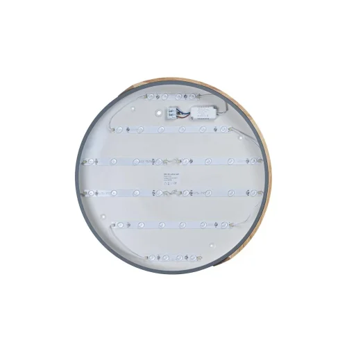 Светильник потолочный LED Axel 10004/36 Grey LOFT IT белый 1 лампа, основание серое бежевое в стиле современный  фото 4