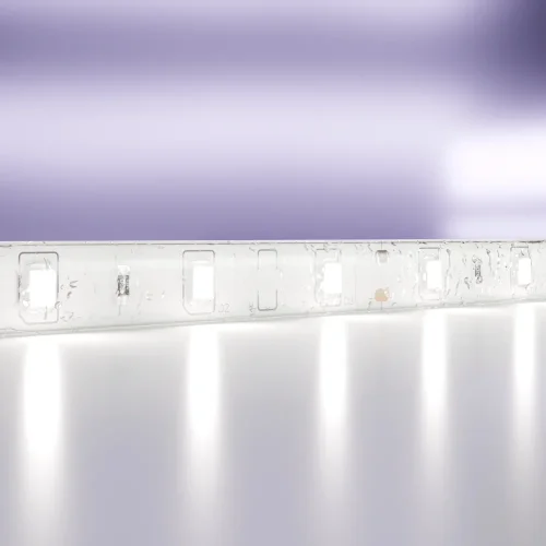 Светодиодная лента 12В 10107 Maytoni цвет LED холодный белый 6000K, световой поток 500Lm фото 5