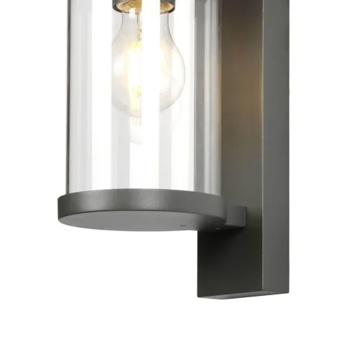 Настенный светильник Lukturis 3038-1W Favourite уличный IP44 чёрный 1 лампа, плафон прозрачный в стиле современный E27 фото 2