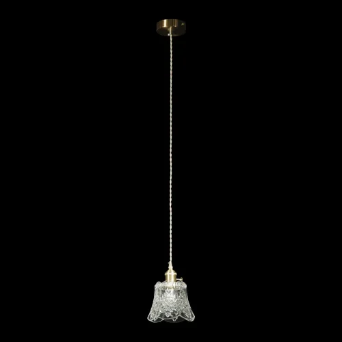 Светильник подвесной Lace 10110/B LOFT IT прозрачный 1 лампа, основание латунь в стиле лофт прованс кантри  фото 4