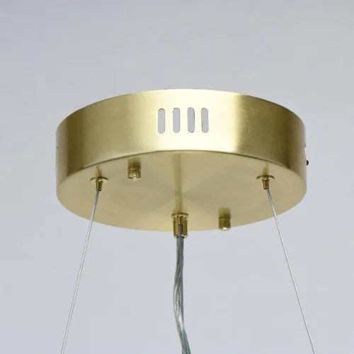 Люстра подвесная LED с пультом Аделард 642014901 MW-Light прозрачная на 1 лампа, основание латунь в стиле классический с пультом фото 12