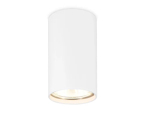 Светильник накладной TN213108 Ambrella light белый 1 лампа, основание белое в стиле минимализм хай-тек круглый