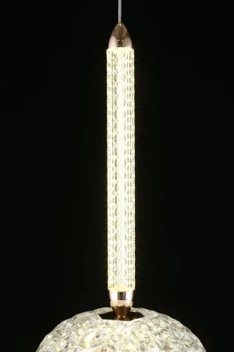 Светильник подвесной LED Dorote APL.036.16.11 Aployt прозрачный 1 лампа, основание золотое в стиле современный  фото 4