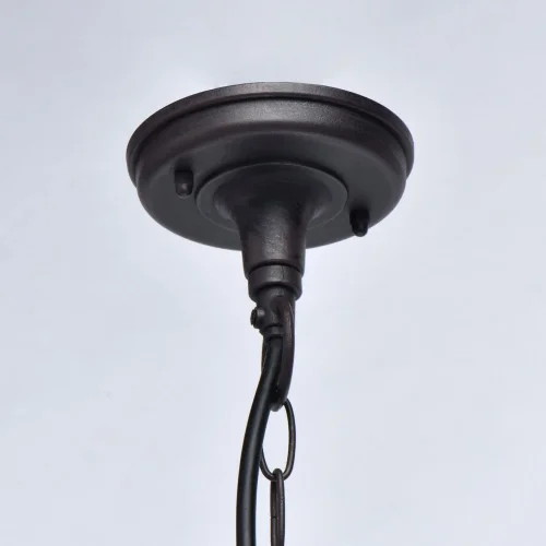 Подвесной светильник Телаур 806011001 DeMarkt уличный IP44 чёрный 1 лампа, плафон прозрачный в стиле кантри E27 фото 8