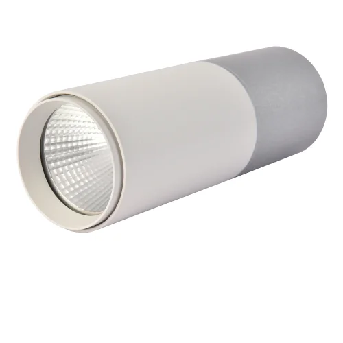 Светильник накладной LED Deepak 3071-1C Favourite белый 1 лампа, основание белое в стиле современный круглый фото 3