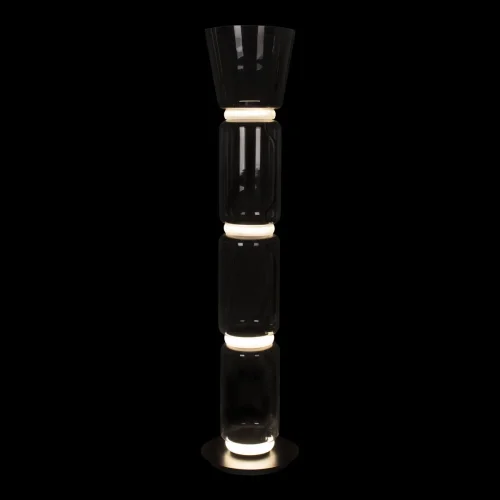Торшер LED Noctambule 10193F/M LOFT IT  прозрачный 1 лампа, основание чёрное в стиле современный
 фото 2