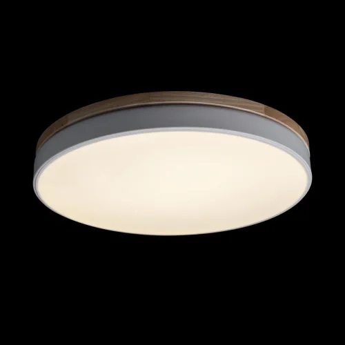 Светильник потолочный LED Axel 10001/36 White LOFT IT белый 1 лампа, основание белое в стиле современный  фото 5