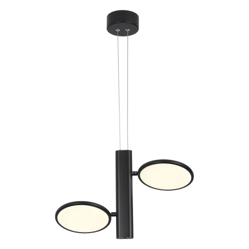 Светильник подвесной LED Aberdeen LSP-7084 Lussole белый чёрный 2 лампы, основание чёрное в стиле современный хай-тек  фото 2