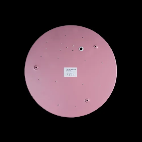 Светильник потолочный LED Axel 10002/24 Pink LOFT IT белый 1 лампа, основание розовое в стиле современный  фото 2