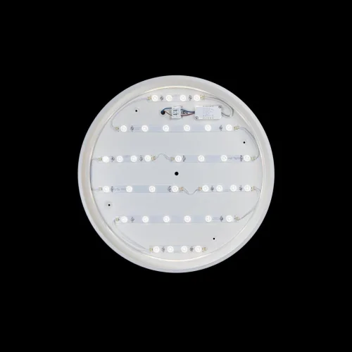Светильник потолочный LED Axel 10001/36 White LOFT IT белый 1 лампа, основание белое в стиле современный  фото 3
