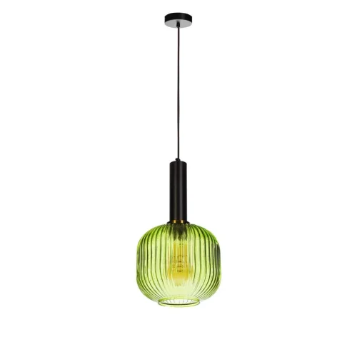 Светильник подвесной Iris 2072-B+BL LOFT IT зелёный 1 лампа, основание чёрное в стиле лофт выдувное фото 2