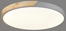 Светильник потолочный LED с пультом 445-267-01 Velante белый 1 лампа, основание коричневое серое в стиле современный кантри с пультом