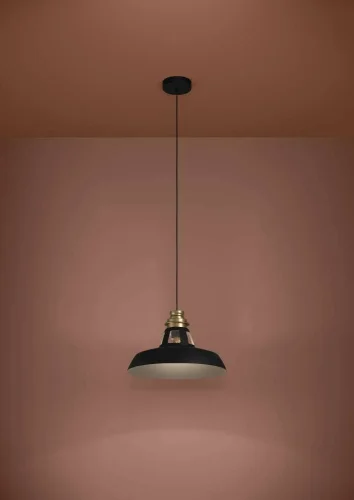 Светильник подвесной Estepona 390229 Eglo чёрный 1 лампа, основание чёрное в стиле лофт современный  фото 2