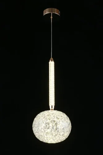 Светильник подвесной LED Dorote APL.036.16.11 Aployt прозрачный 1 лампа, основание золотое в стиле современный  фото 3
