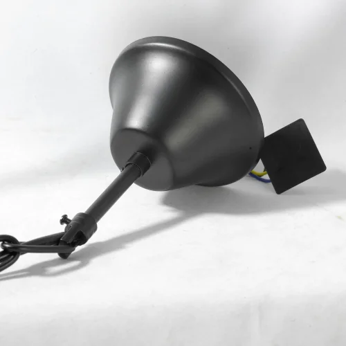 Люстра подвесная лофт LSP-9954 Lussole чёрная на 6 ламп, основание чёрное в стиле лофт  фото 5