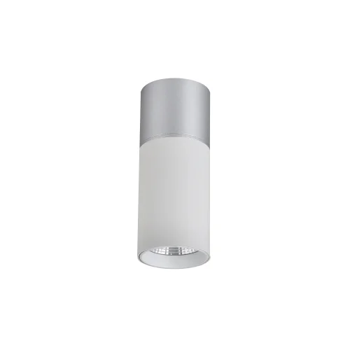 Светильник накладной LED Deepak 3071-1C Favourite белый 1 лампа, основание белое в стиле современный круглый фото 2