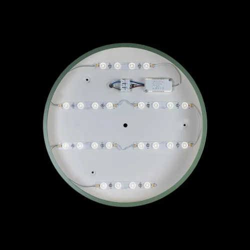 Светильник потолочный LED Axel 10002/24 Green LOFT IT белый 1 лампа, основание зелёное в стиле современный  фото 3