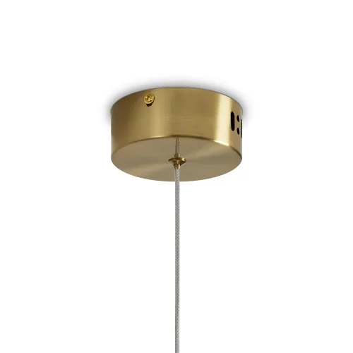 Светильник подвесной LED Lolli FR6139PL-L8BS Freya прозрачный 1 лампа, основание латунь в стиле современный  фото 4