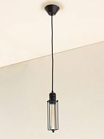 Светильник Эдисон подвесной CL450202 Citilux чёрный 1 лампа, основание чёрное в стиле лофт 