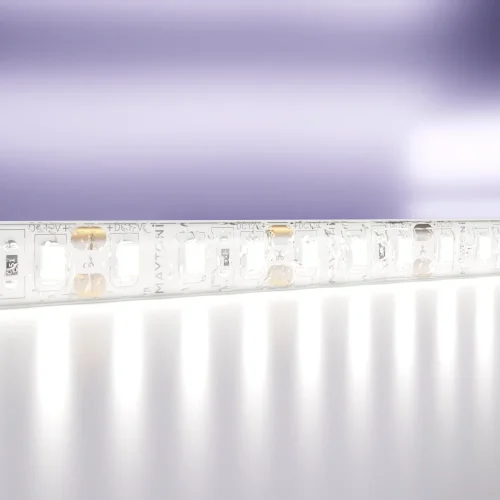 Светодиодная лента 12В 10119 Maytoni цвет LED холодный белый 6000K, световой поток 1350Lm