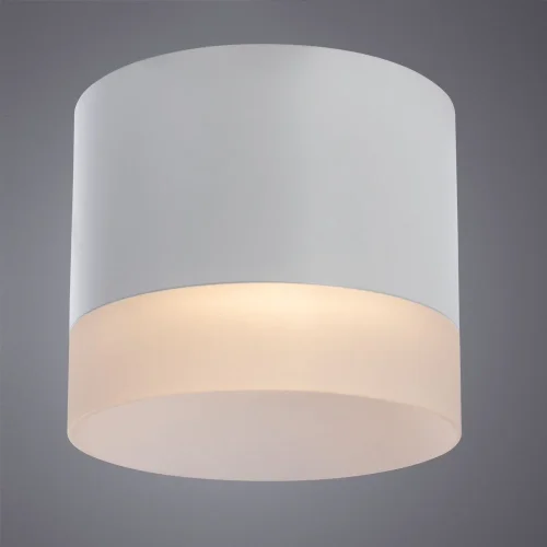 Светильник накладной Castor A5554PL-1WH Arte Lamp белый 1 лампа, основание белое в стиле современный круглый фото 3