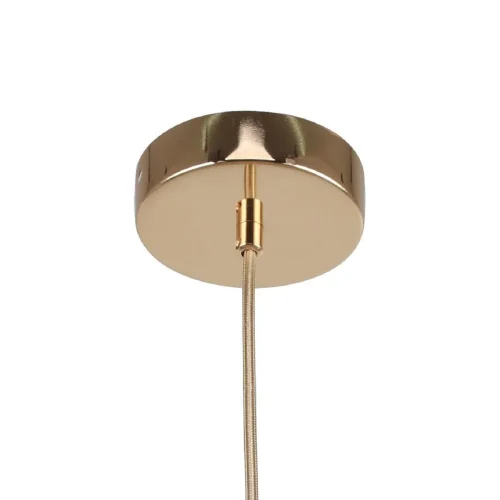 Светильник подвесной Sheen 2759-1P F-promo золотой 1 лампа, основание золотое в стиле минимализм  фото 2