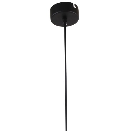 Светильник подвесной LED Aenigma 2556-1P Favourite прозрачный 1 лампа, основание чёрное в стиле современный трубочки фото 4