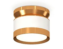 Светильник накладной XS8101060 Ambrella light белый 1 лампа, основание золотое в стиле хай-тек круглый