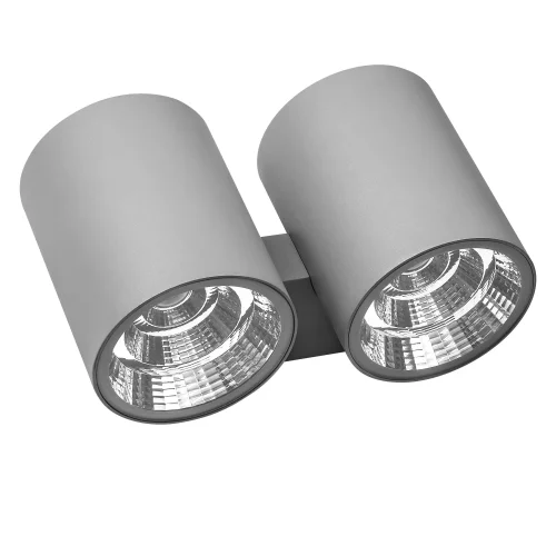Настенный светильник LED Paro 372594 Lightstar уличный IP65 серый 2 лампы, плафон серый в стиле хай-тек LED
