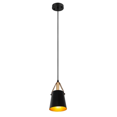 Светильник подвесной Thomas A7032SP-1BK Arte Lamp чёрный 1 лампа, основание чёрное в стиле лофт современный  фото 4