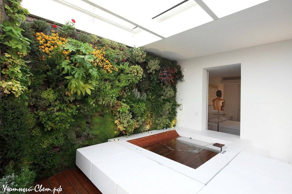 Дизайн интерьера с живым садом