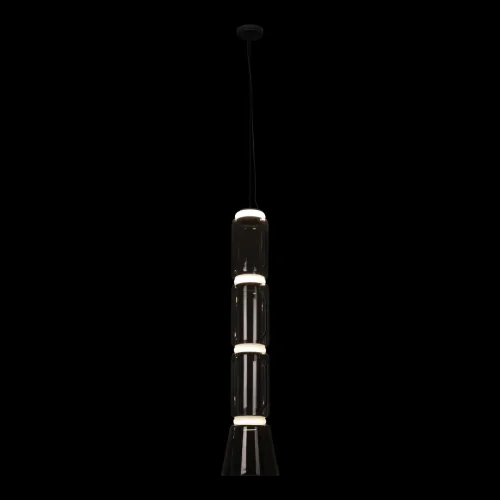 Светильник подвесной LED Noctambule 10193/L LOFT IT прозрачный 1 лампа, основание чёрное в стиле современный  фото 4