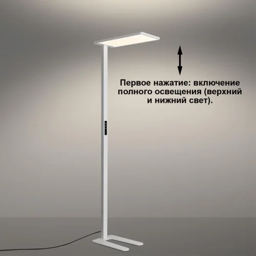 Торшер полного спектра LED DIMM Ledo 359545 Novotech для чтения белый на 1 лампу, основание белое в стиле современный хай-тек минимализм фото 5