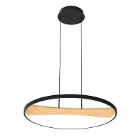 Светильник подвесной LED Lodi 723127 Lightstar чёрный коричневый 1 лампа, основание коричневое чёрное в стиле хай-тек 